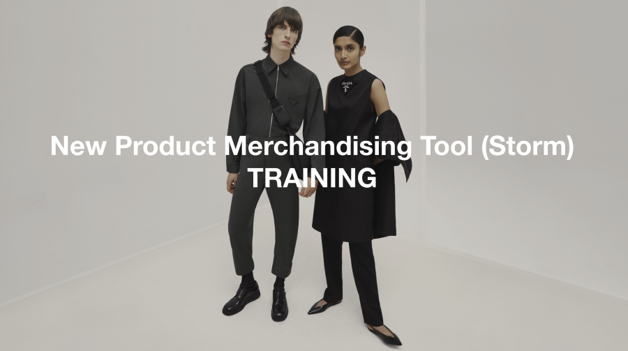 New Product Merchandising Training